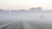 Herbst 16:9 (c) Ulrike Kaulfuß