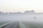 Herbst (3:2) (c) Ulrike Kaulfuß