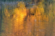 Herbst (c) Ulrike Kaulfuß