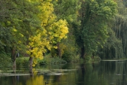 Herbst (c) Ulrike Kaulfuß