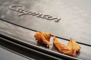 Herbst (c) Detlef Buxmann