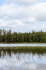 (c) Ina Herzig