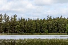 (c) Ina Herzig