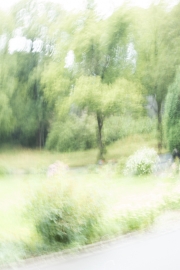 (c) Andrea Hermann