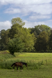 (c) Hans Georg Bein