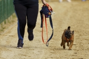 Jeder-Hund-Rennen 2019