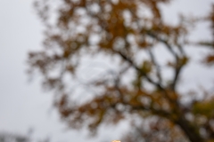 Wanderung von Bad Wildungen Rund um Rheinhardshausen