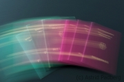007 (c) Astrid Padberg