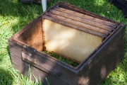 Holzbeute