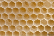 leere Wand