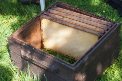 Holzbeute