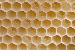 leere Wand