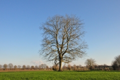 Immerath 2019