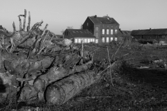 Immerath 2019