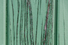 Grün (c) Ina Herzig