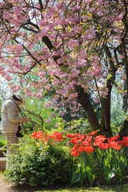 Japanischer Garten, Leverkusen