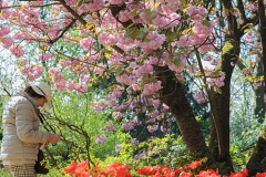 Japanischer Garten, Leverkusen