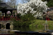 Japanischer Garten, Leverkusen