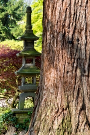 Japanischer Garten