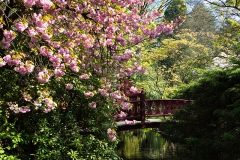 Japanischer Garten, Leverkusen