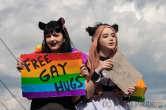 Japantag 2017