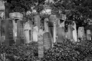 Jüdischer Friedhof Gelsenkirchen