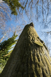 Jüdischer Friedhof Gelsenkirchen