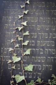 Jüdischer Friedhof Gelsenkirchen