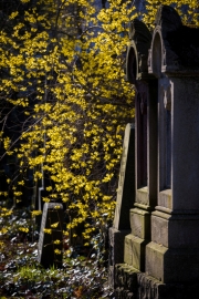 Jüdischer Friedhof Gelsenkirchen