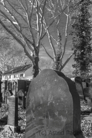 Jüdischer FJüdischer Friedhof Gelsenkirchenriedhof Bulmke