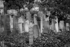 Jüdischer Friedhof Gelsenkirchen