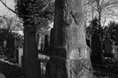 Jüdischer Friedhof Gelsenkirchen