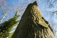 Jüdischer Friedhof Gelsenkirchen