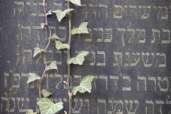 Jüdischer Friedhof Gelsenkirchen