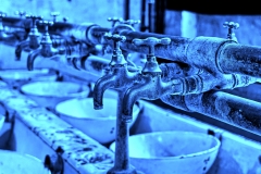 kalt (c) Peter Taubert