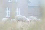 Kloster Knechtsteden (c) Andrea Hermann