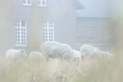Kloster Knechtsteden (c) Andrea Hermann