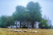 Kloster Knechtsteden (c) Gerd Baumann