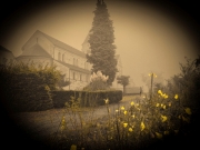 Kloster Knechtsteden (c) Hans Peter Eckstein