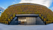 Moderne Architektur - Kö-Bogen II mit Hainbuchenhecken  (c) Detlef Buxmann