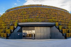 Moderne Architektur - Kö-Bogen II mit Hainbuchenhecken  (c) Detlef Buxmann