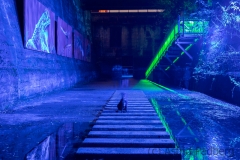 Nachtlichter (c) Astrid Padberg