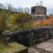 Natur auf dem Vormarsch (c) Astrid Padberg