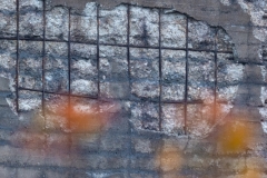 Natur auf dem Vormarsch (c) Astrid Padberg