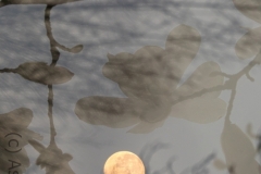 Mond auf der Flucht ins Gebüsch