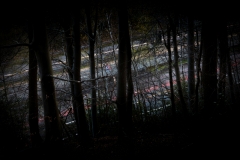 Licht im Dunkel (c) Astrid Padberg