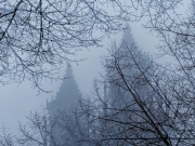 (c) Annette Ulrich