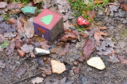 Fundstücke im Wald