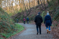 Auf Abstand - Nachmittags im Wald