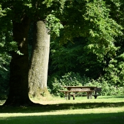 Licht und Schatten (c) Renate Romanus